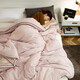 Arctic velvet quilt soy fiber quilt winter quilt thickened spring and autumn quilt core four seasons universal single cotton quilt mother quilt coupling powder 200*230cm9.8Jin Jin equals 0.5kg Arctic velvet quilt soy fiber quilt winter quilt thickened spring and autumn quilt core four seasons universal single cotton quilt mother quilt coupling powder 200*230cm9.8Jin Jin equals 0.5kg