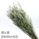 AIMAN natural wheat ears dried flower bouquet for new store opening, barley gift, living room pastoral decoration, photo props, lover's grass bouquet