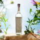 Derrumbes [Botella original importada] Base de vinos de vinos de Mezcal México Mezcal Vino Deerrumbe Guerrero Tequila 750ml 1 botella