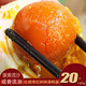 Hombre de pato de mar huevos de pato salado 20 piezas 1480 g Caja de regalo Guangxi Caja de regalo de huevo de pato especial