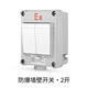 SD ZM explosion-proof switch explosion-proof wall switch ExdeIICT6Gb explosion-proof lighting 220V10A two switches