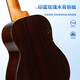 斗牛士（Bullfighter）U3尤克里里23-24英寸小吉他乌克丽丽儿童成人专业入门ukulele U3狸猫23寸（全套配件）