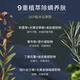 SUMDOY Japan imported fruit acid shower gel to remove mites and remove mites and control oil to relieve itching and moisturizing moisturizing and long-lasting fragrance for men and women [Save 70 yuan immediately] Mite-removing shower gel *2