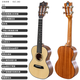 Kaka enyakaka 25d chapa ukelele caoba uklili niños y niñas para niños y niñas pequeñas guitarra 23 pulgadas kuc-28d madera color