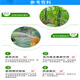 Hulian Plant Protection Huifei 40% pyrimethanol and pyrimidinium ammonium cucumber, vegetable, fruit tree and flower gray mold special medicine, pesticide and fungicide