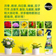 Meileke plant essential oil protective agent dilution-free aphid red spider flower plant insecticide universal type 236ML