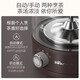 Bear Tea Maker Steam Spray Type Health Kettle Thickened Glass Tea Maker Black Tea Office Tea Steamer Mini Electric Kettle Insulation Small Tea Stove 1L Gift Gift ZCQ-A10X1 Insulation Spray Type Tea Maker 1L