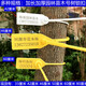 One-time customized garden seedling seal number tree extended plastic seal label sign 42CM50CM60CM plastic 60cm white 100 pieces