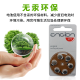 峰力（PHONAK）助听器专用电池e312/675进口纽扣电子用品通用耳蜗配件洗耳器 A675大容量白卡5板30粒