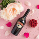 Baili Importé Vin étranger B52 Ensemble de bombardier Cocktail auto-fabriqué Baili Sweet Wine Nectar Coffee Wine Mixing Mélangez Pré-Colonde Version sans vin