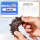 Guanshentang Dalian bottom-sown ready-to-eat sea cucumber fresh sea cucumber seafood aquatic New Year gift box 1000g 18-24 pieces Selection