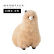 Warmpaca Alpaca Puppe Plüsch Spielzeugpuppe Geben Sie Geburtstagsgeschenk für Frau und Freundin Freundin kleiner Alpaka Pub