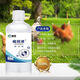Xiong Mu Wen Ye Qing raises chickens, ducks and geese with malaise and plague, prevents chicken plague, coughs and snores, poultry feed additives 1 bottle of Wen Ye Qing 250ml