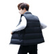 Xiao Xiao Cloth Vest Men's 2020 Autumn and Winter New Korean Style Trendy Slim Vest Men's Handsome Youth Vest Warm Jacket Blue XL