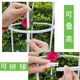 Clematis Ivy marco de trepadora marco de rosa jardinería hiedra de trepadora balcón de escalada de balcón de soporte de soporte de soporte de flores lzb a019 modelo de pájaro blanco de dos capas alto 95 cm+ para la cabeza de la ardilla