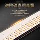 
Swan Imported Chord 28-hole Polyphonic Accent Harmonic Advanced Adult Professional Performance Grade Beginners 28-hole C-tune Golden Polyphonic Performance Grade