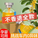Tingnan Xiyu Osmanthus Aromatherapy Essential Oil Car Perfume Car Aromatherapy Car Room Bedroom Fragrance Freshener Toilet Deodorizing Rotating Osmanthus Fragrance 2 Bottles