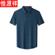 Hengyuanxiang High-End-Sommer-Mulberry-Seiden-Kurzärmel-Hemd für Männer mittleren Alters im mittleren Alter.