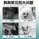 Wolf Boy Wolf Boy Dog Food 10Jin Jin is equal to 0.5kg Beef Double Mix Adult Dog Puppy Teddy Labrador Cockerel Dog Food 5kg Beef Grain Double Mix Dog Food 5kg