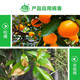 Hulian 450g/L prochloraz anthracnose pesticide prochloraz fungicide fruit tree citrus postharvest preservative 200ml*1 bottle