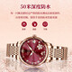 Longaina Swiss Certified Watch Women's Mechanical Watch Impload Luminoso 2024 NUEVA LUMHER LUXURY WELD WELLS BETING BINT L6169 VINO RED + Certificado