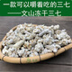 Panax notoginseng de Panax 40 têtes 60 têtes à Wenshan, Yunnan. Printemps. Tianqi Chinois Herbal Medicine Tianqi est facile à poudrer. Wenshan. Panax notoginseng de Panax lyophilisé 30 têtes 500 grammes.
