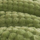 Arctic velvet quilt core thickened to keep warm lamb velvet winter quilt student dormitory single quilt plus double home cover quilt beautiful - bean green [double-sided velvet quilt] 150x200cm6Jin [Jin equals 0.5 kg] (winter quilt)