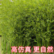 Hua e flow simulated bamboo outdoor decoration fake bamboo simulated plant landscaping bionic bamboo outdoor green plants 2.0 meters high 100 roots