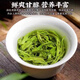 Fumingyuan Premium Biluochun Alpine Yunwu Green Tea Mingqiantou Pick-resistant Green Tea Bag 1000g