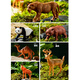 Teddy Shiguang Children's Simulation Animal Model Toys Boys and Girls Safari Farm Stores 16 Packs of Birthday Gifts