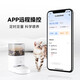 Homerun pet intelligent sterilization water dispenser, cat and dog pet automatic water dispenser, water feeder, wireless sterilization water pump, third-generation water dispenser, Pro+ ceramic bowl feeder