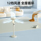Westinghouse air circulation fan household electric fan large air volume floor fan silent low-noise electric fan stand dual-purpose fan negative ion purification ventilation fan dormitory bedroom living room exhaust fan off-white flagship model negative ion + 3D air supply + night light + intelligent control