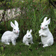 Hongri Guanghui Garden Decoration Courtyard Outdoor Kindergarten Decoration Ornaments Crafts Sculpture Simulation Animal Rabbit Ornaments Model 3 Yellow Rabbit