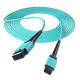 Nokoxin MPO-MPO Faser-Jumper weibliche Multimode 8 Core 12 Core OM3/Om4-Bündel B Polarität kompatibler MTP 40G/100g Jumper MPO-MPO Multimode 12 Core 100G OM4 3 Meter