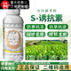 Guoguang Dynamics S-inducing factor citrus fruit tree disease resistance, drought and cold resistance, salt tolerance, root promotion and seedling plant growth regulation 200ml