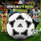 adidas 阿迪达斯欧洲杯5号足球青少年成人足球比赛训练用球五号球 S12241【5号足球】
