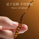 
Qilixiang Cordyceps sinensis 7.5g (30 roots) Qinghai Yushu New Dried Cordyceps Gift Box Cordyceps Cordyceps Good choice for group purchase gifts Gifts for parents and elders tonics