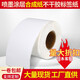 SINAIDE SNYDER EPSON TM-C3520 Label Papier TM-C7520G Inkjet Selbstkleber Druckpapier Tintenstrahl beschichtetes Synthetikpapier (selbstklebendes Etikettpapier)*1 Roll 50 mm*30 m (kontinuierliches Papier)
