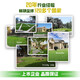 Co-create lawn household high-end villa courtyard lawn simulation outdoor yard fake lawn green insulated roof lawn artificial grass height 60m thickened and encrypted ordinary style (1 square meter)