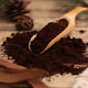Ganjunzhuang Changbaishan Ganoderma lucidum spore pulver massen 500g