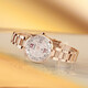 
CITIZEN watch photoelectric perpetual calendar strap case business fashion women's watch EC1048-54W multi-campus radio wave women's watch