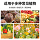 贝可施三元复合肥大量元素农用花肥料盆栽家用养花蔬菜氮磷钾家用 【尊享款】复合肥(17-17-17)500g