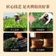 华祥苑茶叶自己喝大红袍武夷岩茶乌龙茶自饮茶罐装礼品礼物送礼 【必囤】两罐装500g