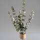 AIMAN Yunnan dried flower bouquet Nordic style home furnishings Eucalyptus cotton diy living room room decoration 5 eucalyptus leaves