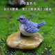 Phoebe gardening micro-landscape ornaments bird resin crafts cute simulation bird's nest gardening bonsai decorative bird eggs medium green bird