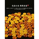 Yingyou natural amber beeswax separators 6 8 10mm chicken oil yellow old honey color spacer beads Diamond Star Moon Bodhi diy accessories chicken oil yellow separators 6mm-8 0 carat