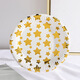 XUNIAN children's birthday party disposable plate picnic plate cake plate large paper plate dessert table decoration tableware 18*18cm golden five-pointed star 10 pieces