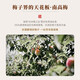 
Mariposas [21 consecutive years of gold medal] Japanese original bottle imported plum wine Kii fruit wine foreign wine Qingmei wine gift Kii brown sugar plum wine single branch 730ml