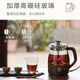 Bear Tea Maker Steam Spray Type Health Kettle Thickened Glass Tea Maker Black Tea Office Tea Steamer Mini Electric Kettle Insulation Small Tea Stove 1L Gift Gift ZCQ-A10X1 Insulation Spray Type Tea Maker 1L