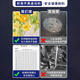 马利油画颜料12色170ml美术生艺术家专业单支钛白儿童手绘油画布框白色染料油画工具套装玛丽牌 684-赫石 170ml【大支更划算】
